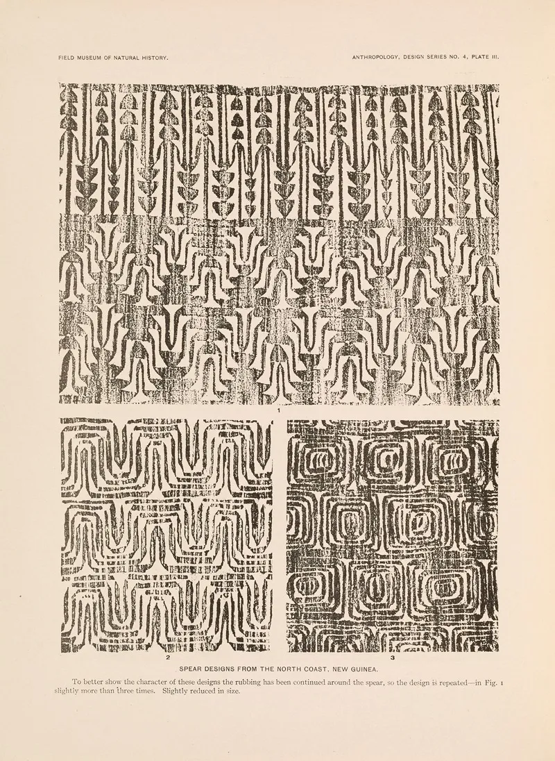 Decorative Art Of New Guinea Pl 01 Wall Art by Albert Buell Lewis - High-Resolution Digital Print
