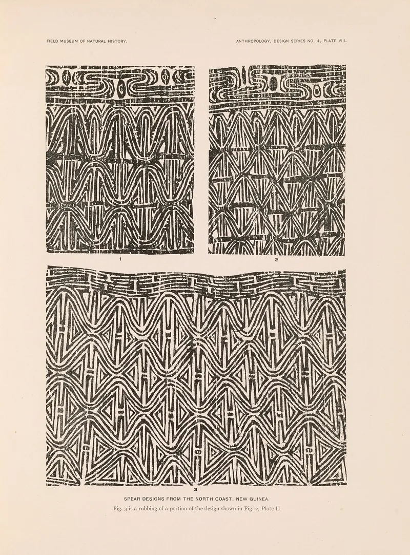 Decorative Art Of New Guinea Pl 06 Wall Art by Albert Buell Lewis - High-Resolution Digital Print