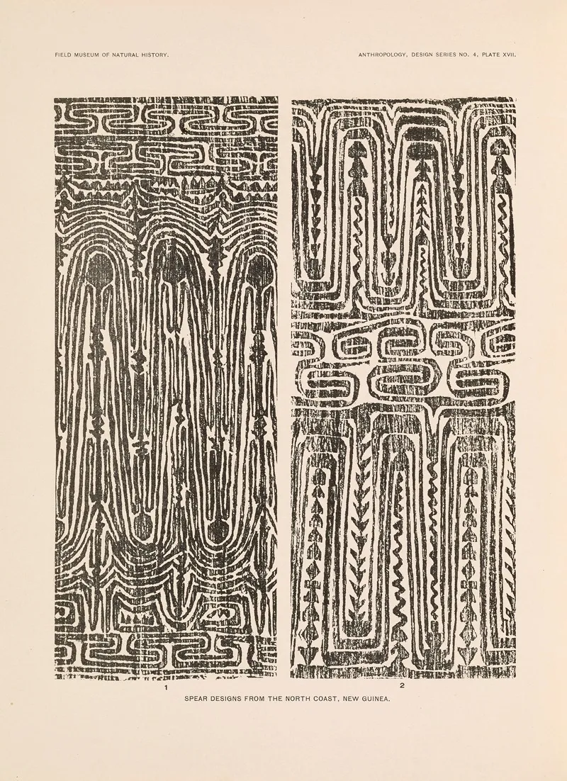 Decorative Art Of New Guinea Pl 15 Wall Art by Albert Buell Lewis - High-Resolution Digital Print