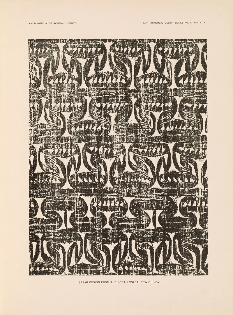 Decorative Art Of New Guinea Pl 18 Wall Art by Albert Buell Lewis - High-Resolution Digital Print
