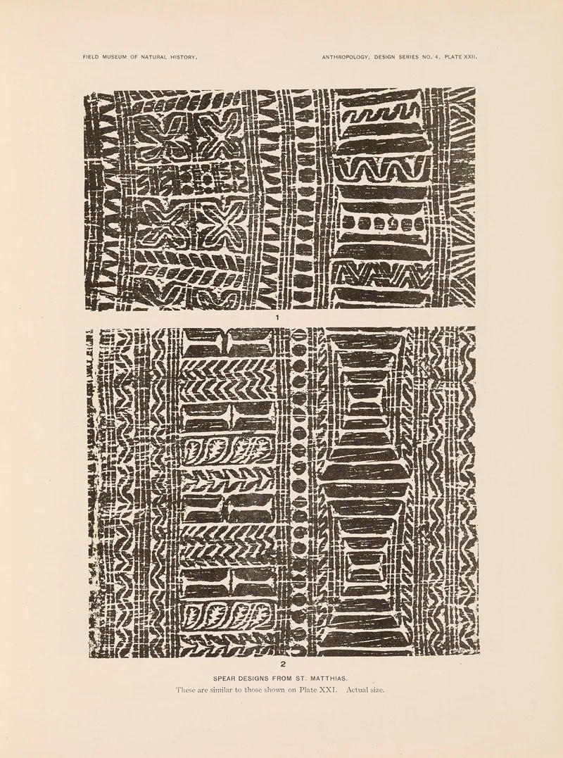 Decorative Art Of New Guinea Pl 19 Wall Art by Albert Buell Lewis - High-Resolution Digital Print