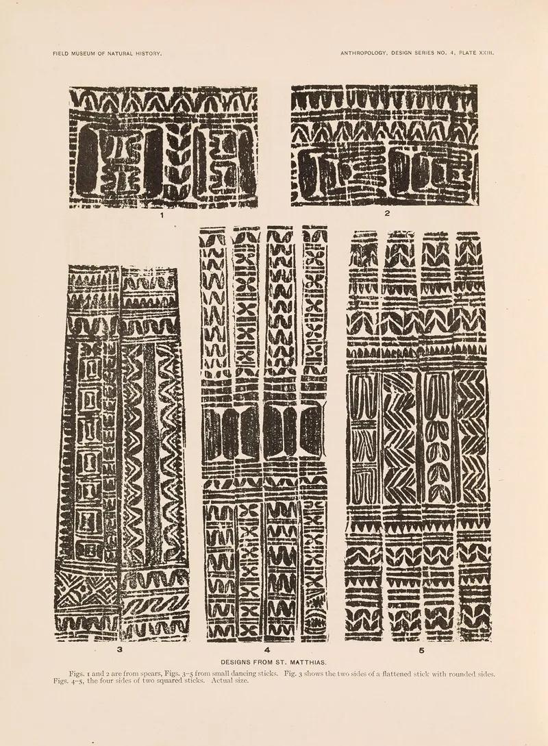 Decorative Art Of New Guinea Pl 20 Wall Art by Albert Buell Lewis - High-Resolution Digital Print