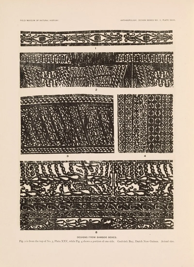 Decorative Art Of New Guinea Pl 23 Wall Art by Albert Buell Lewis - High-Resolution Digital Print