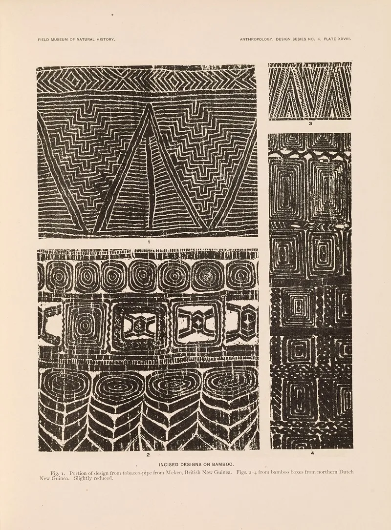 Decorative Art Of New Guinea Pl 24 Wall Art by Albert Buell Lewis - High-Resolution Digital Print