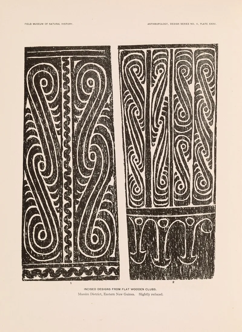 Decorative Art Of New Guinea Pl 29 Wall Art by Albert Buell Lewis - High-Resolution Digital Print
