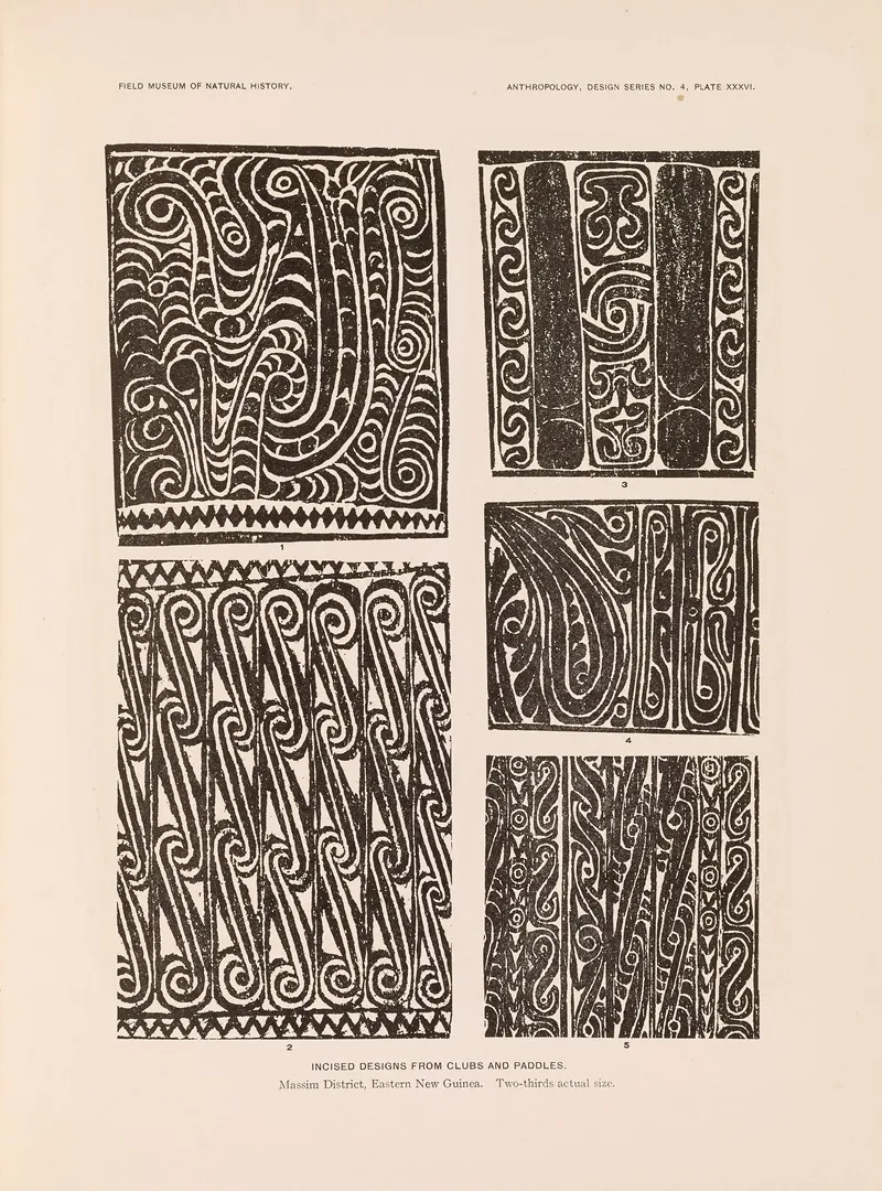 Decorative Art Of New Guinea Pl 30 Wall Art by Albert Buell Lewis - High-Resolution Digital Print