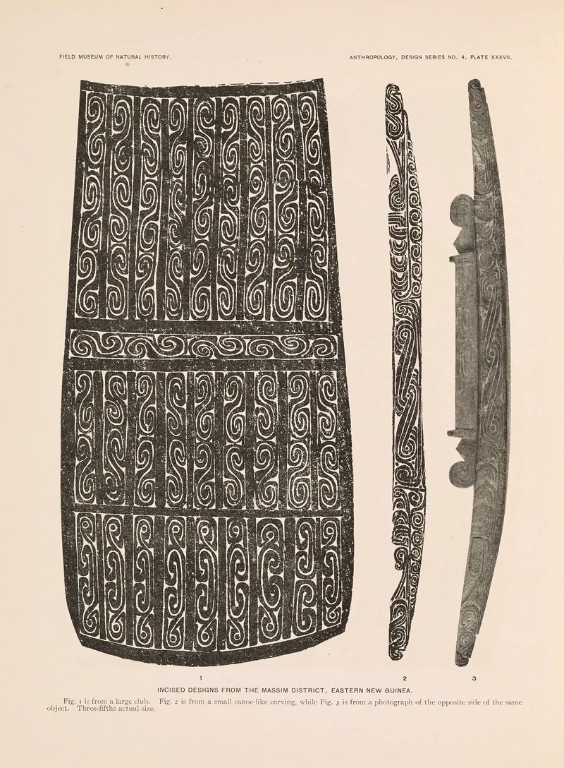 Decorative Art Of New Guinea Pl 31 Wall Art by Albert Buell Lewis - High-Resolution Digital Print