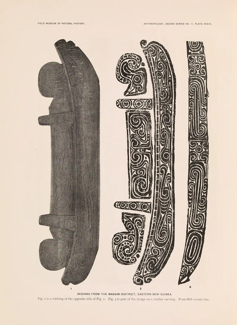 Decorative Art Of New Guinea Pl 33 Wall Art by Albert Buell Lewis - High-Resolution Digital Print
