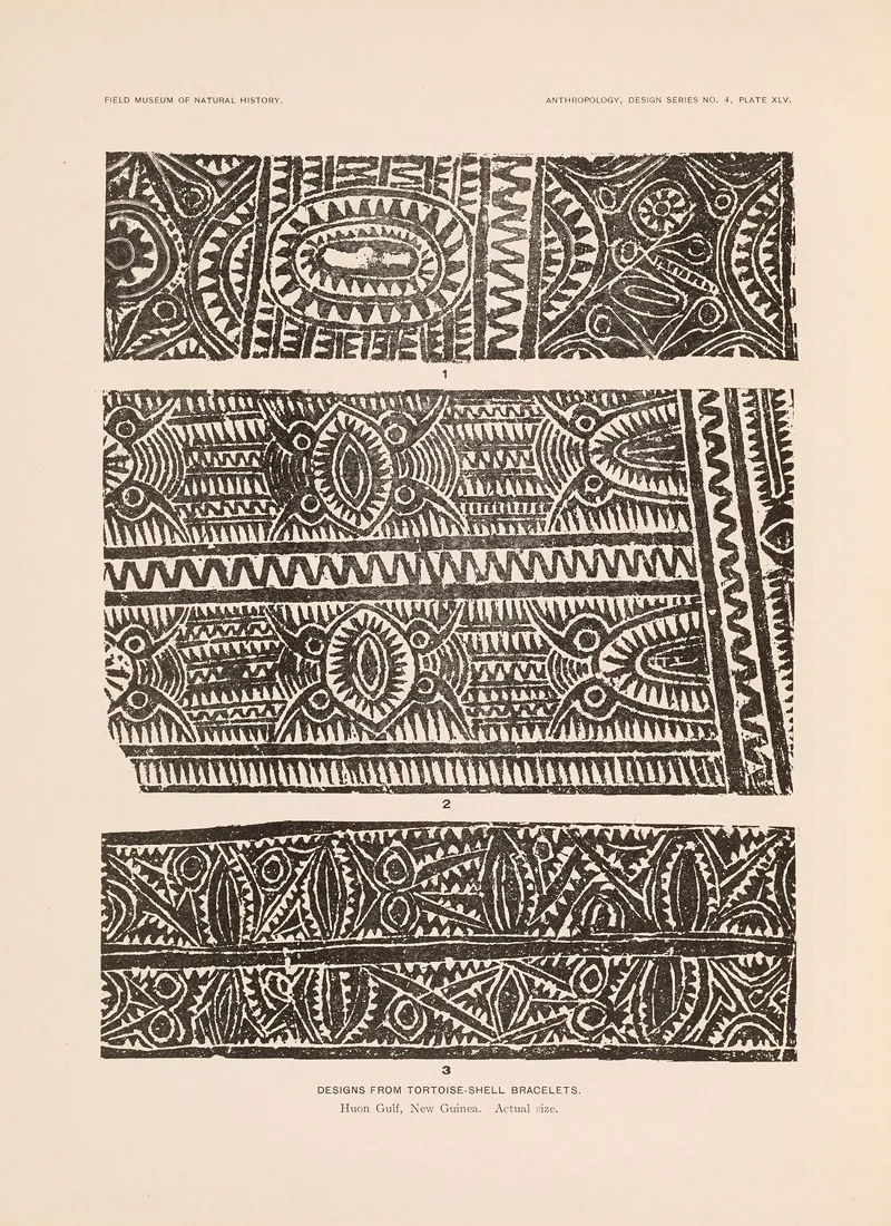 Decorative Art Of New Guinea Pl 37 Wall Art by Albert Buell Lewis - High-Resolution Digital Print