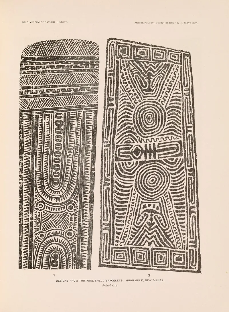 Decorative Art Of New Guinea Pl 38 Wall Art by Albert Buell Lewis - High-Resolution Digital Print