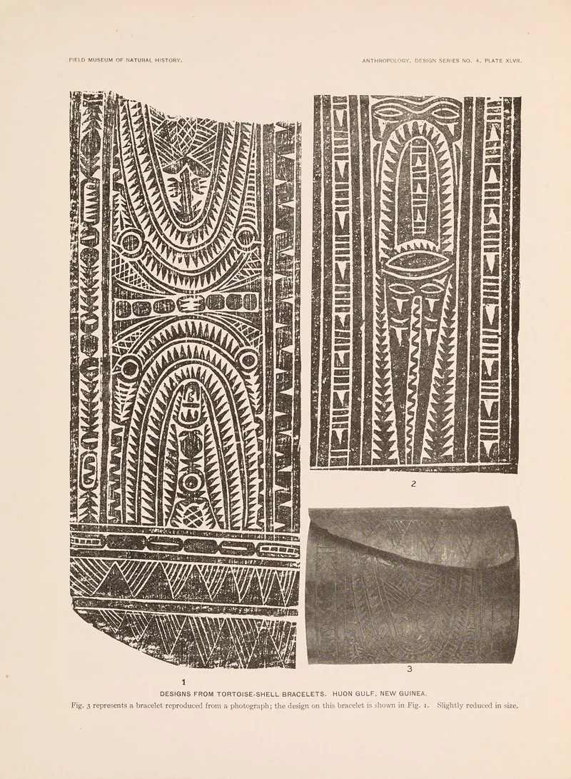 Decorative Art Of New Guinea Pl 39 Wall Art by Albert Buell Lewis - High-Resolution Digital Print