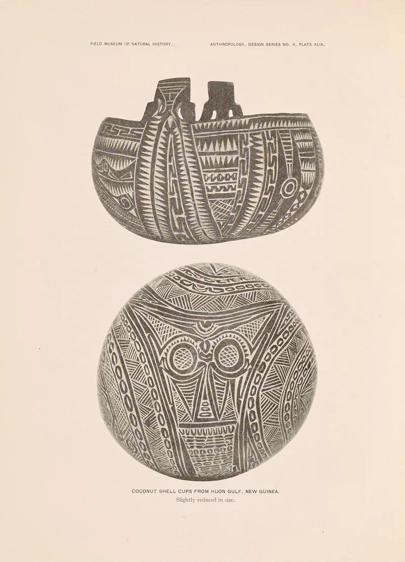 Decorative Art Of New Guinea Pl 41 Wall Art by Albert Buell Lewis - High-Resolution Digital Print