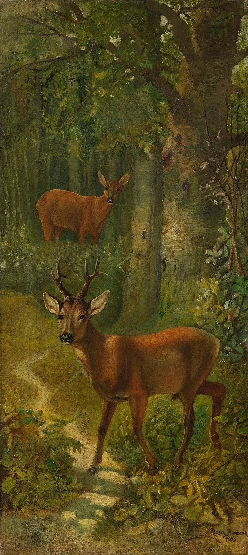 Deer At The Edge Of The Forest Wall Art by Rosa Bonheur - High-Resolution Digital Print