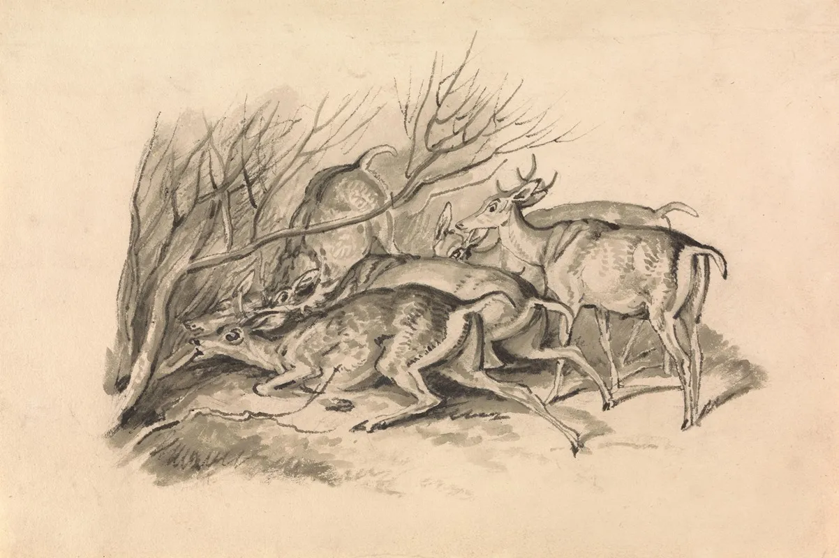 Deer Before A Thicket