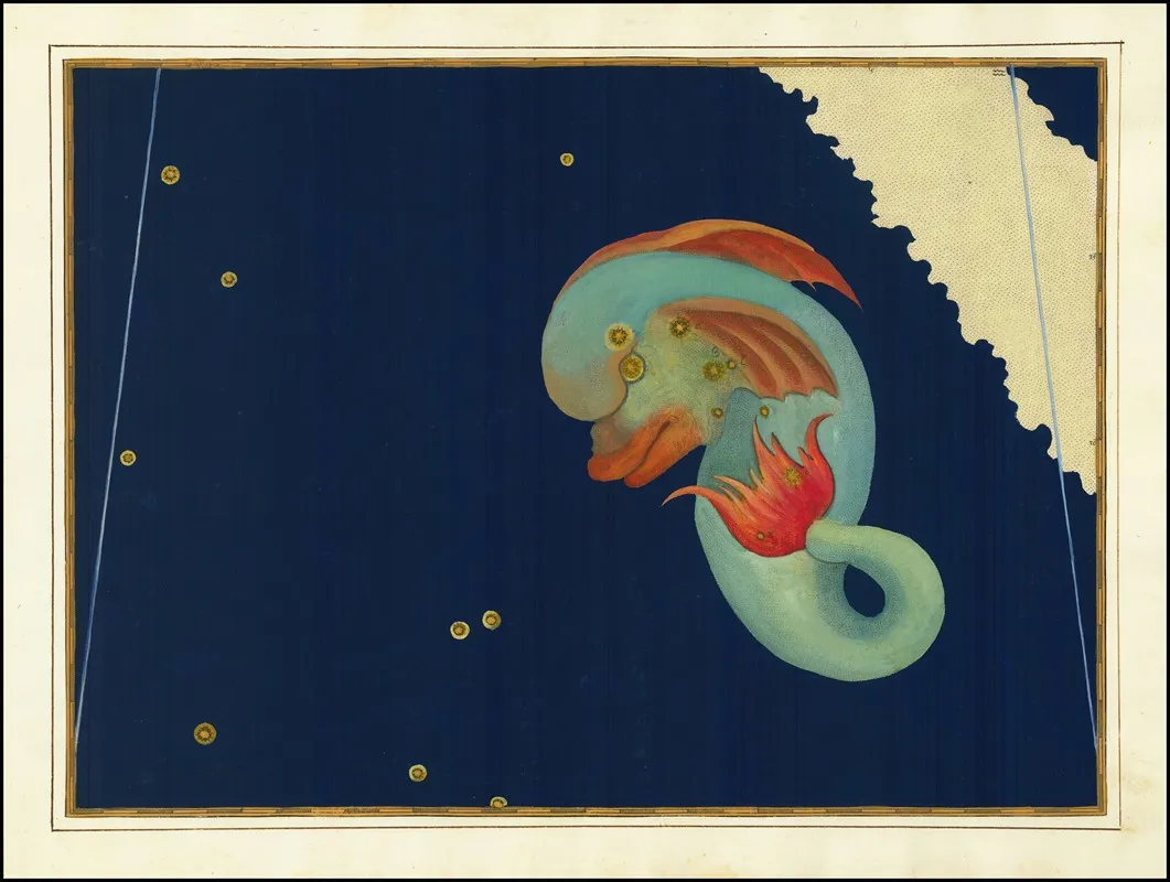 Delphinus Wall Art by Johann Bayer - High-Resolution Digital Print