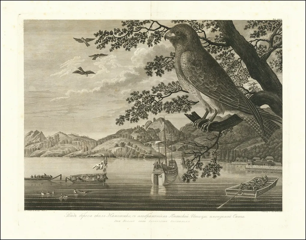 Der Bisago Oder Iapanische Fischfalke Wall Art by Wilhelm Gottlob Tilesius von Tilenau - High-Resolution Digital Print