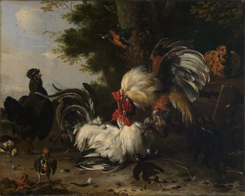 Der Krieg Im Huhnerhof Wall Art by Melchior d'Hondecoeter - High-Resolution Digital Print