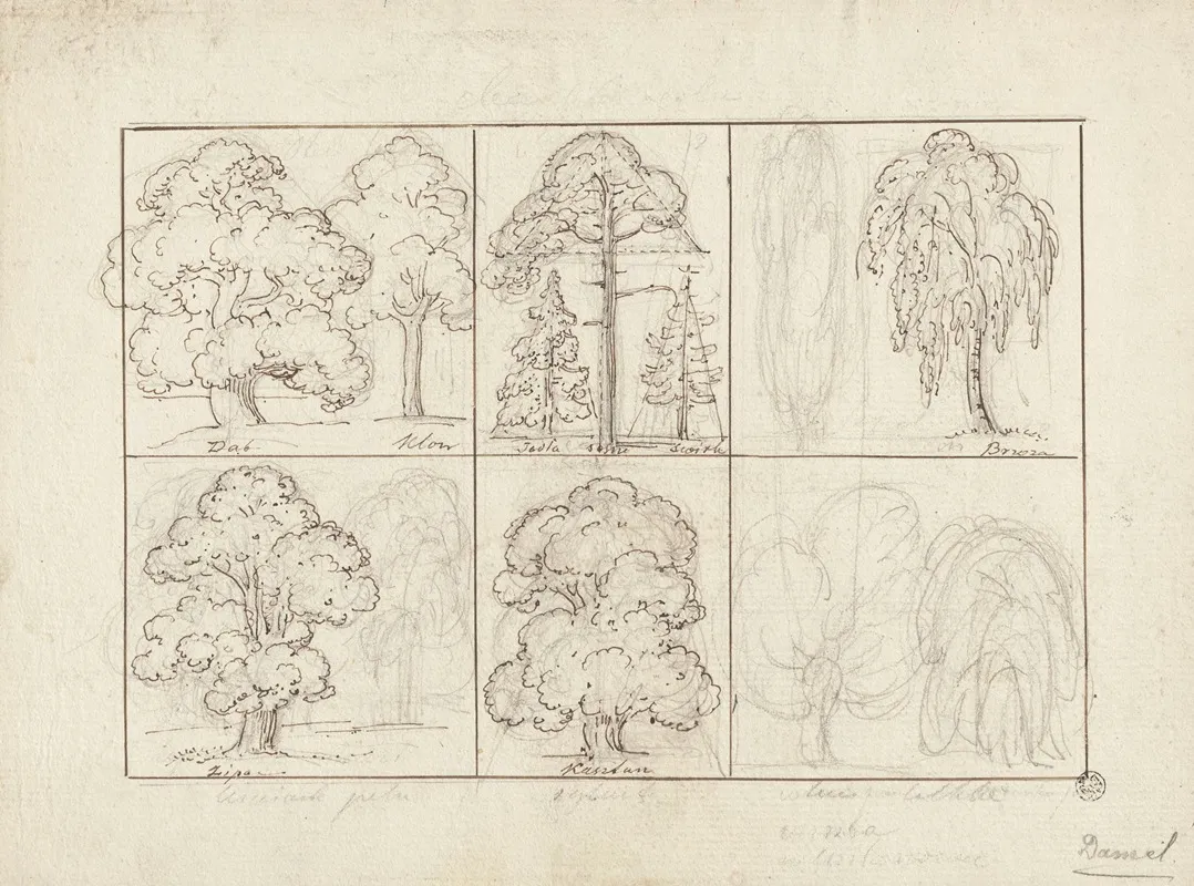 Designs For Boards With Drawings Of Tree Species And Tree Leaves On Both Sides Wall Art by Jan Krzysztof Damel - High-Resolution Digital Print