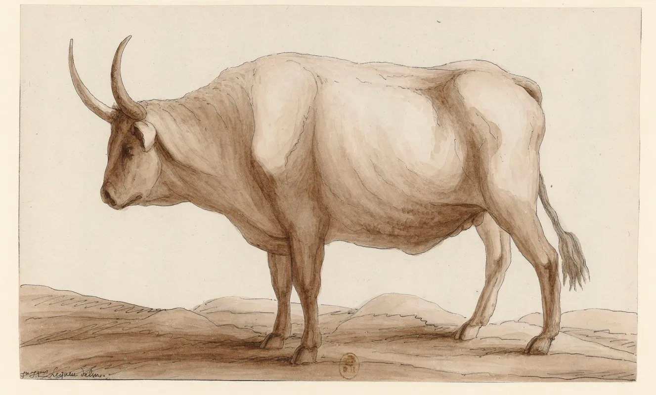 Dessin De Vache