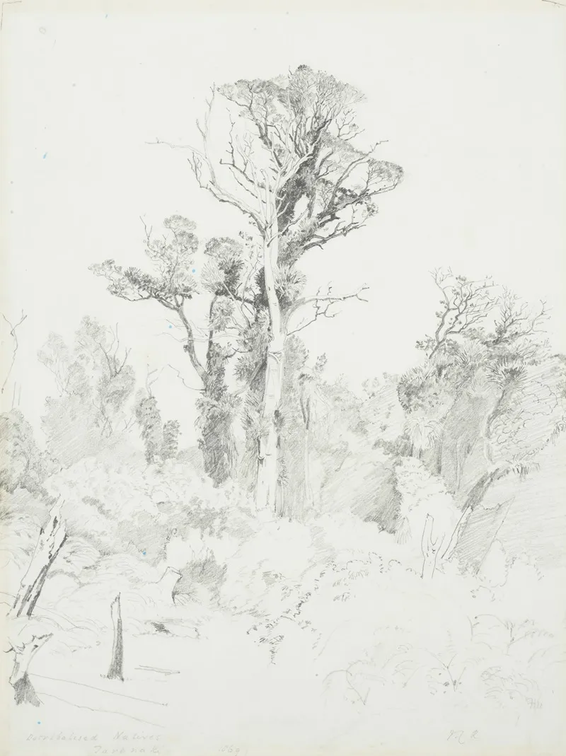 Detribalised Natives Taranaki