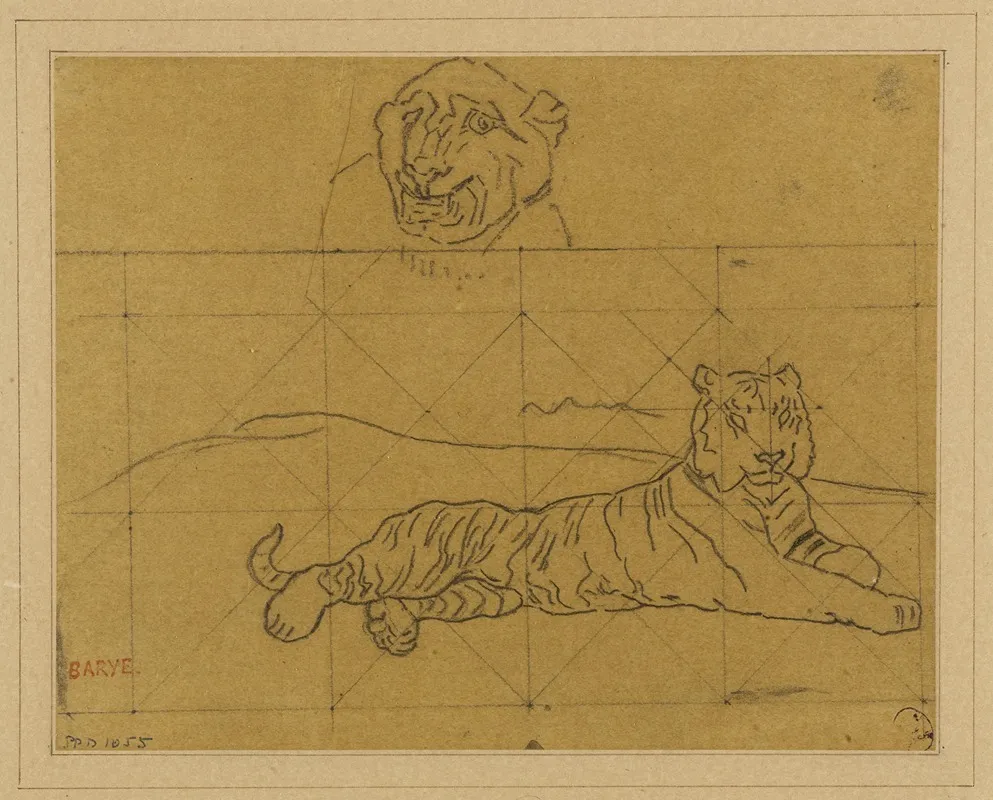 Deux Etudes De Tigres