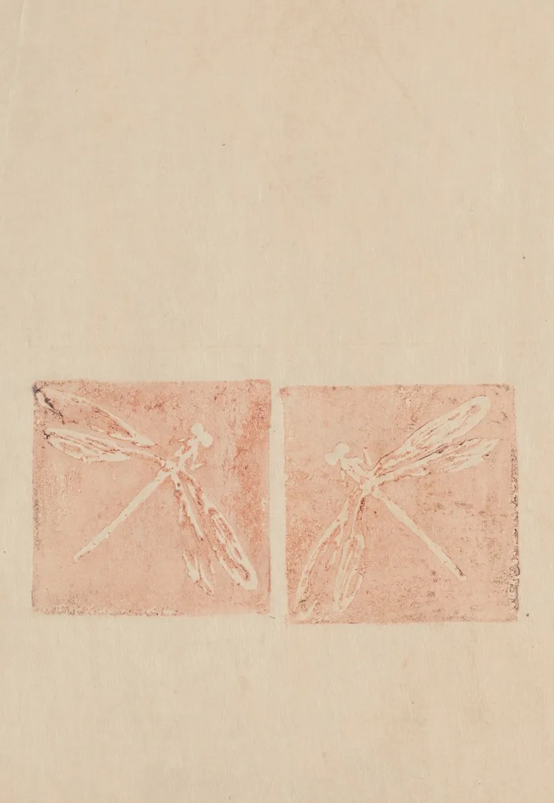 Deux Libellules Essai Pour Libellules Et Tetards Carrelage