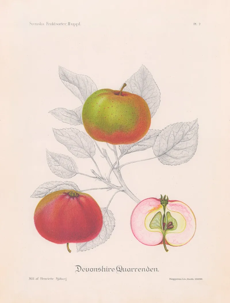 Devonshire Quarrenden Wall Art by Henriette Sjöberg - High-Resolution Digital Print