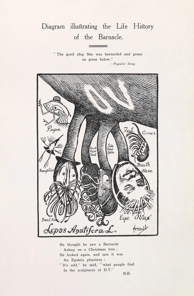 Diagram Illustrating The Life History Of The Barnacle