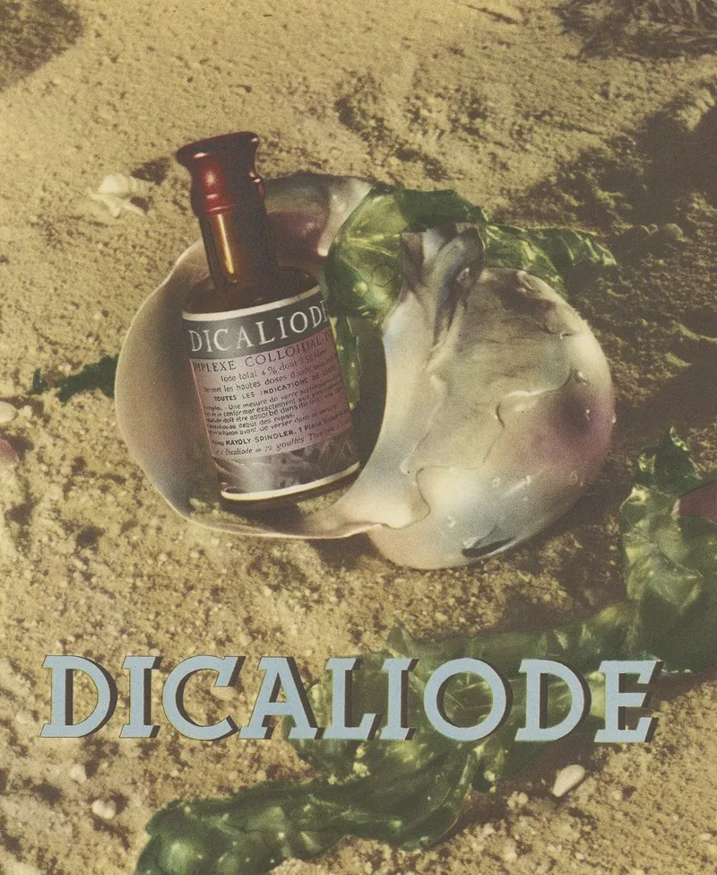 Dicaliode Wall Art by Laboratoires Mayoly-Spindler - High-Resolution Digital Print
