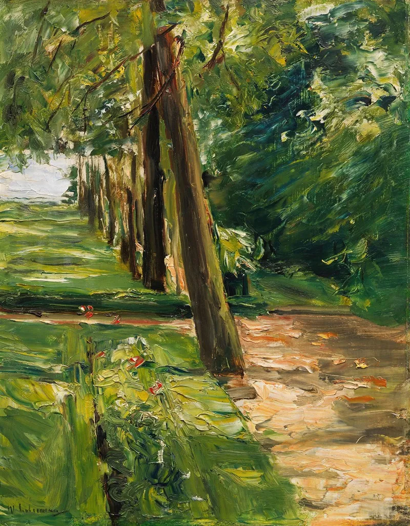 Die Birkenallee Im Wannseegarten Nach Osten Wohl