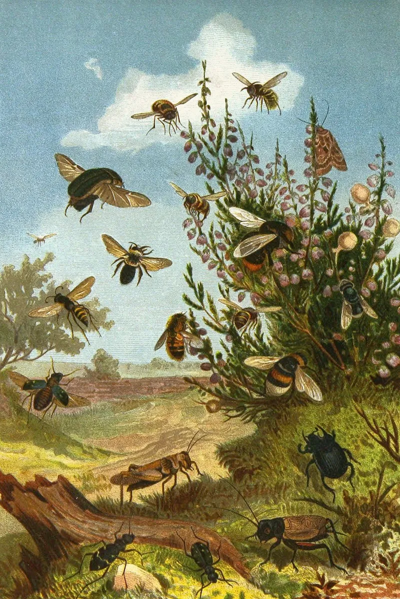 Die Insekten Tausendfüssler Und Spinnen Pl 01 Wall Art by Alfred Edmund Brehm - High-Resolution Digital Print
