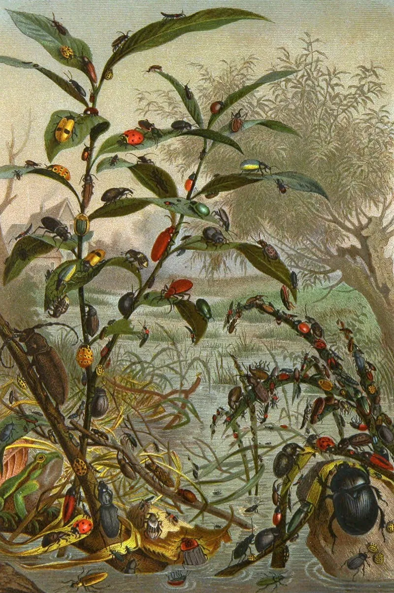 Die Insekten Tausendfüssler Und Spinnen Pl 02 Wall Art by Alfred Edmund Brehm - High-Resolution Digital Print
