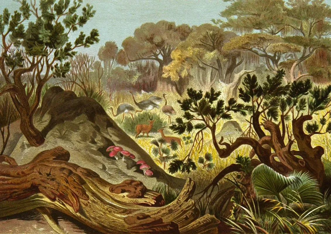 Die Insekten Tausendfüssler Und Spinnen Pl 16 Wall Art by Alfred Edmund Brehm - High-Resolution Digital Print