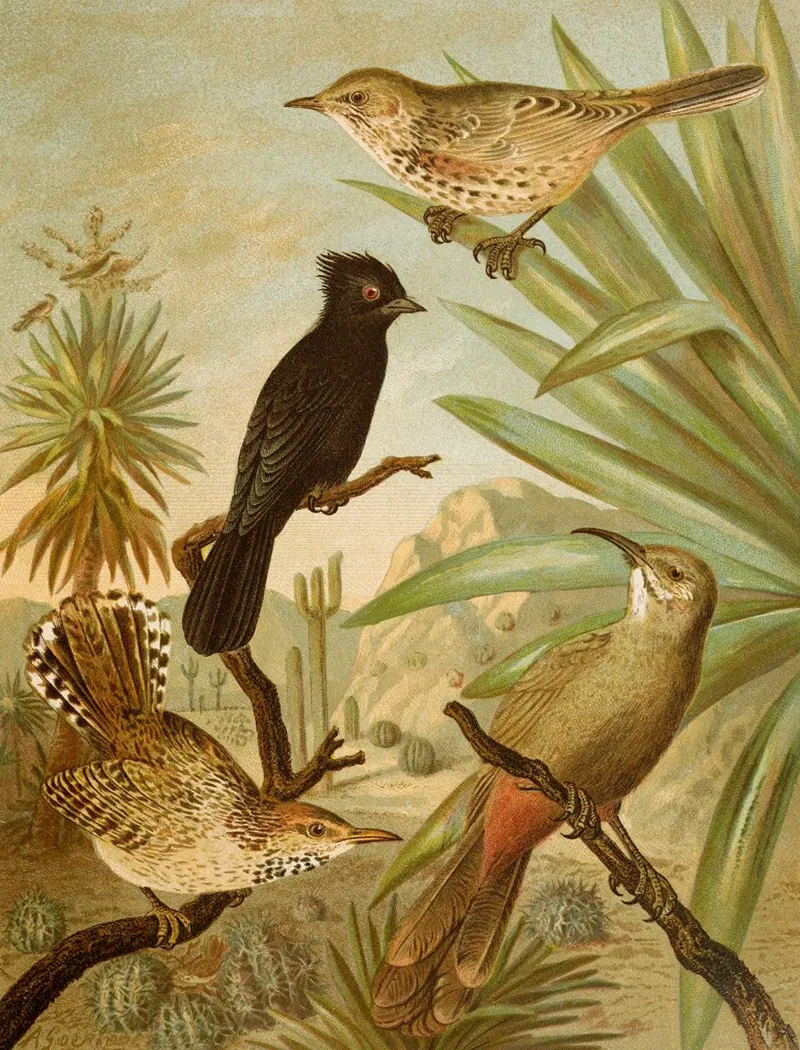 Die Nordamerikanische Vogelwelt Pl03 Wall Art by Christian Anton Goering - High-Resolution Digital Print