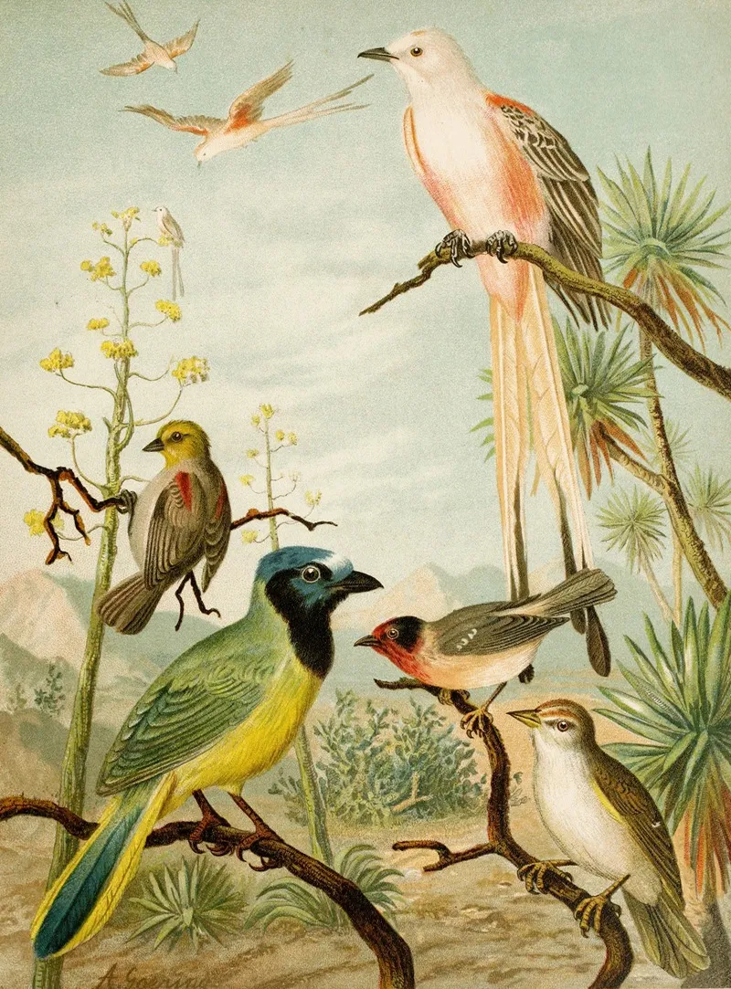 Die Nordamerikanische Vogelwelt Pl32 Wall Art by Christian Anton Goering - High-Resolution Digital Print