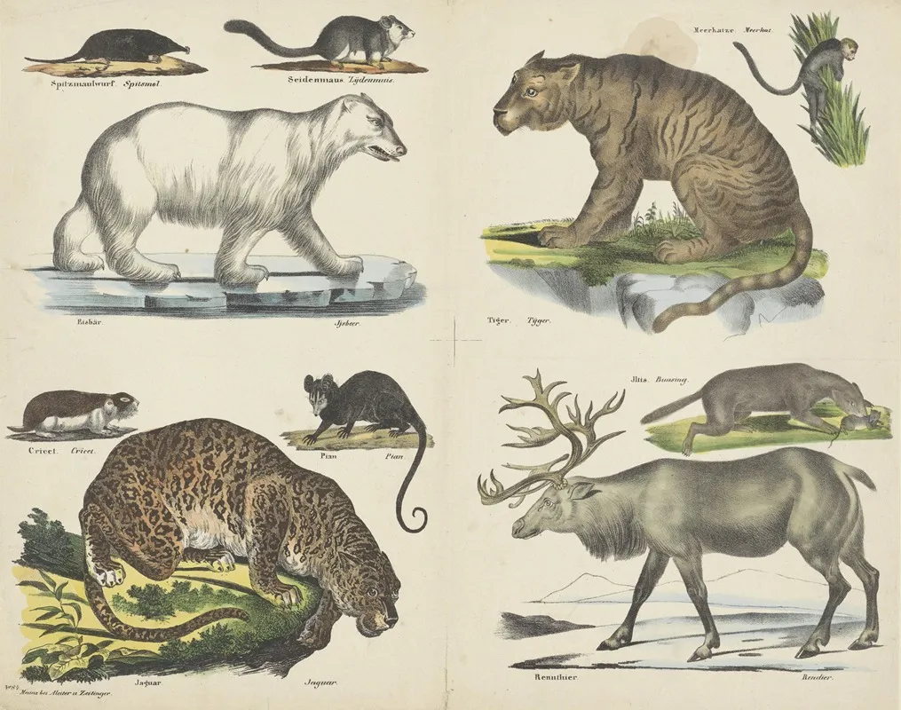 Dieren Wall Art by Joseph Scholz - High-Resolution Digital Print