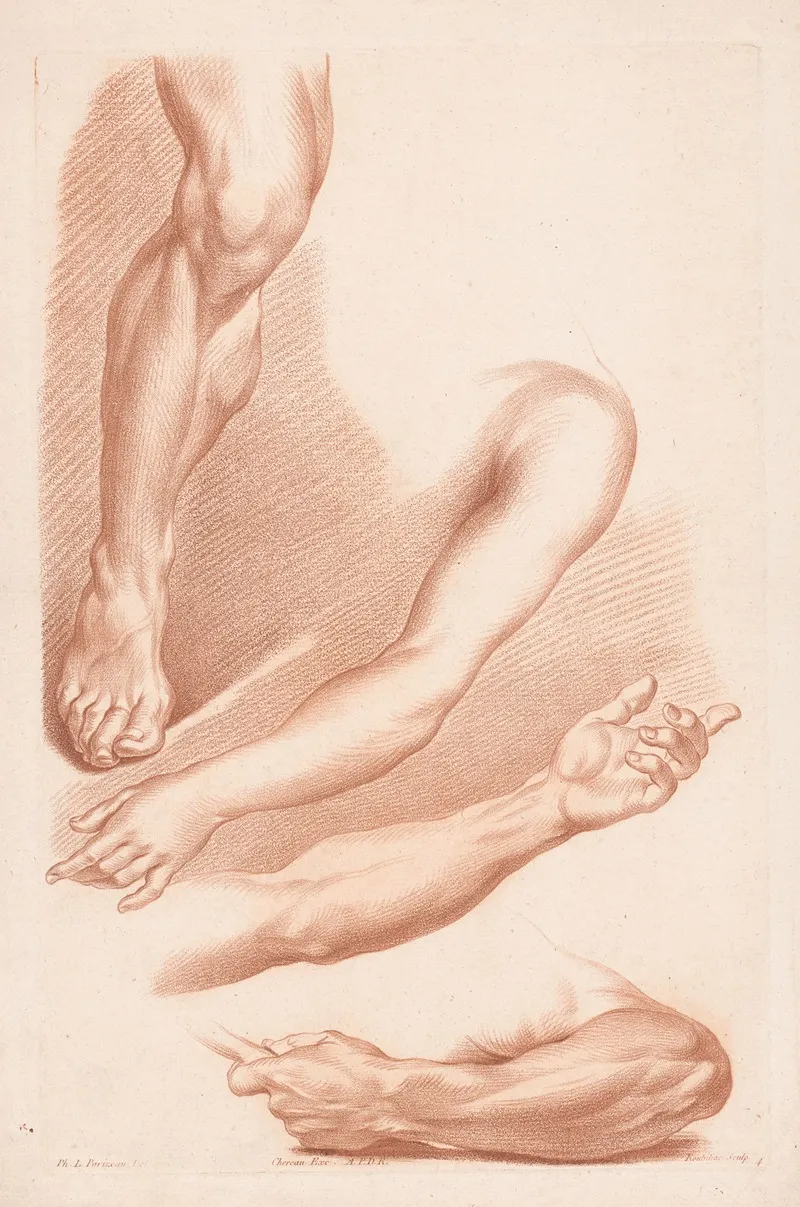 Different Views Of A Leg And Arms Wall Art by Louis-François Roubiliac - High-Resolution Digital Print