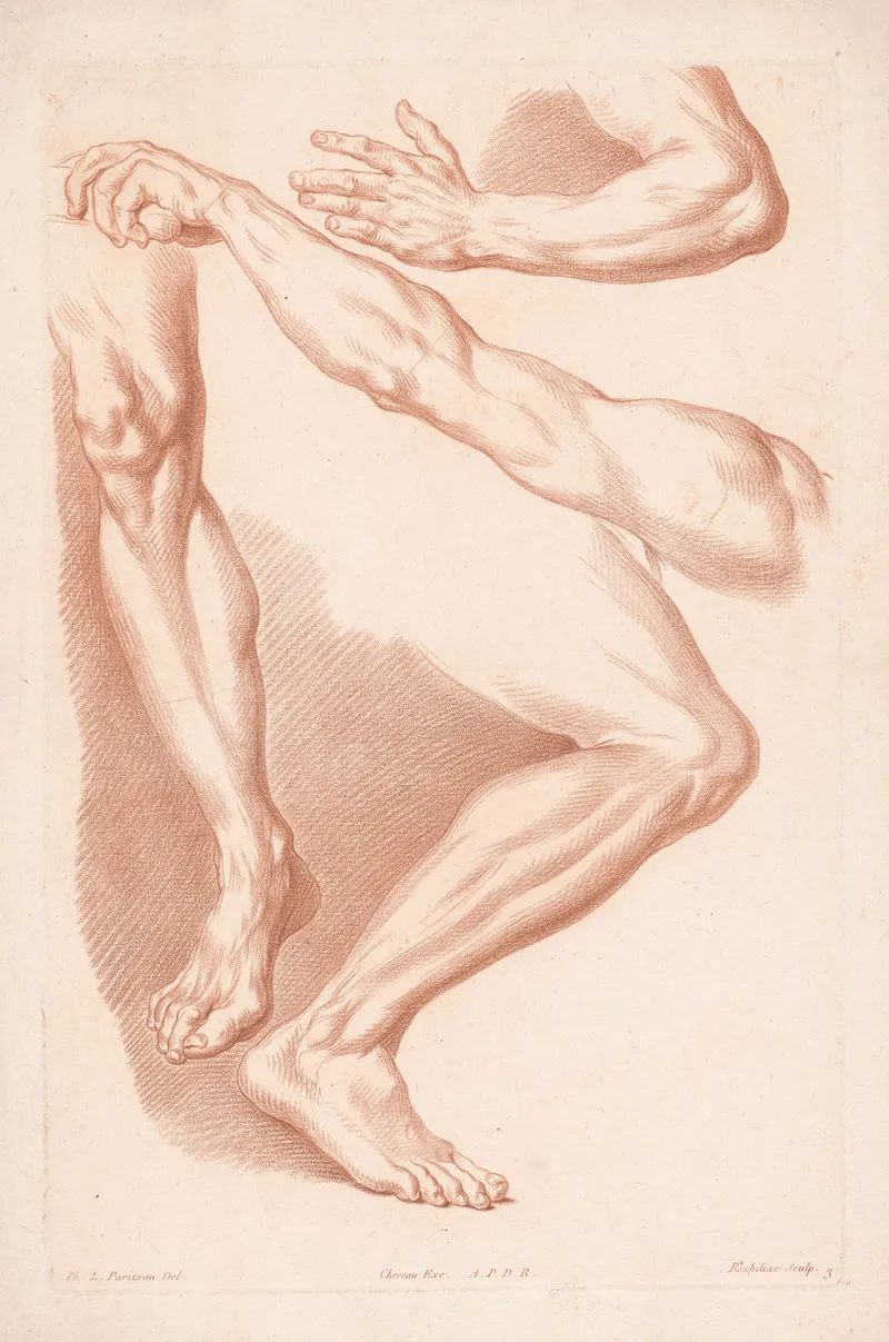 Different Views Of Two Legs And Two Arms Wall Art by Louis-François Roubiliac - High-Resolution Digital Print