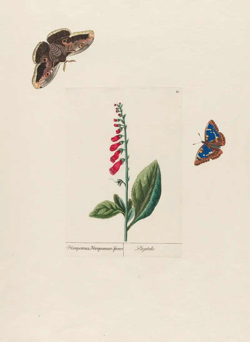 Digitalis Wall Art by Petr Martynovich Gofman - High-Resolution Digital Print