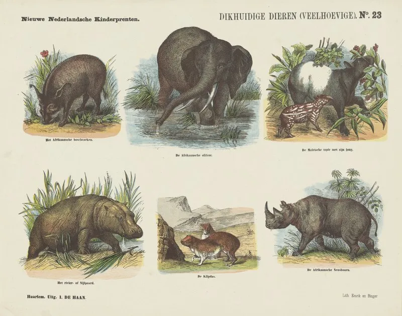 Dikhuidige Dieren Veelhoevige