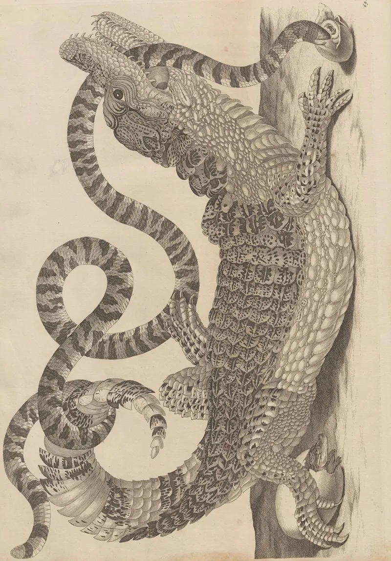 Dissertatio De Generatione Et Metamorphosibus Insectorum Surinamensium Pl 69
