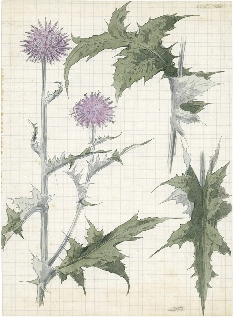 Distel 2de Soort 5 Wall Art by Alfred Ost - High-Resolution Digital Print