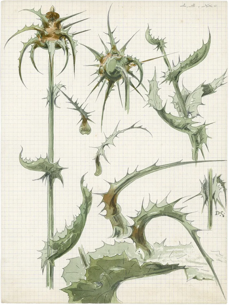 Distel 2de Soort 6 Wall Art by Alfred Ost - High-Resolution Digital Print