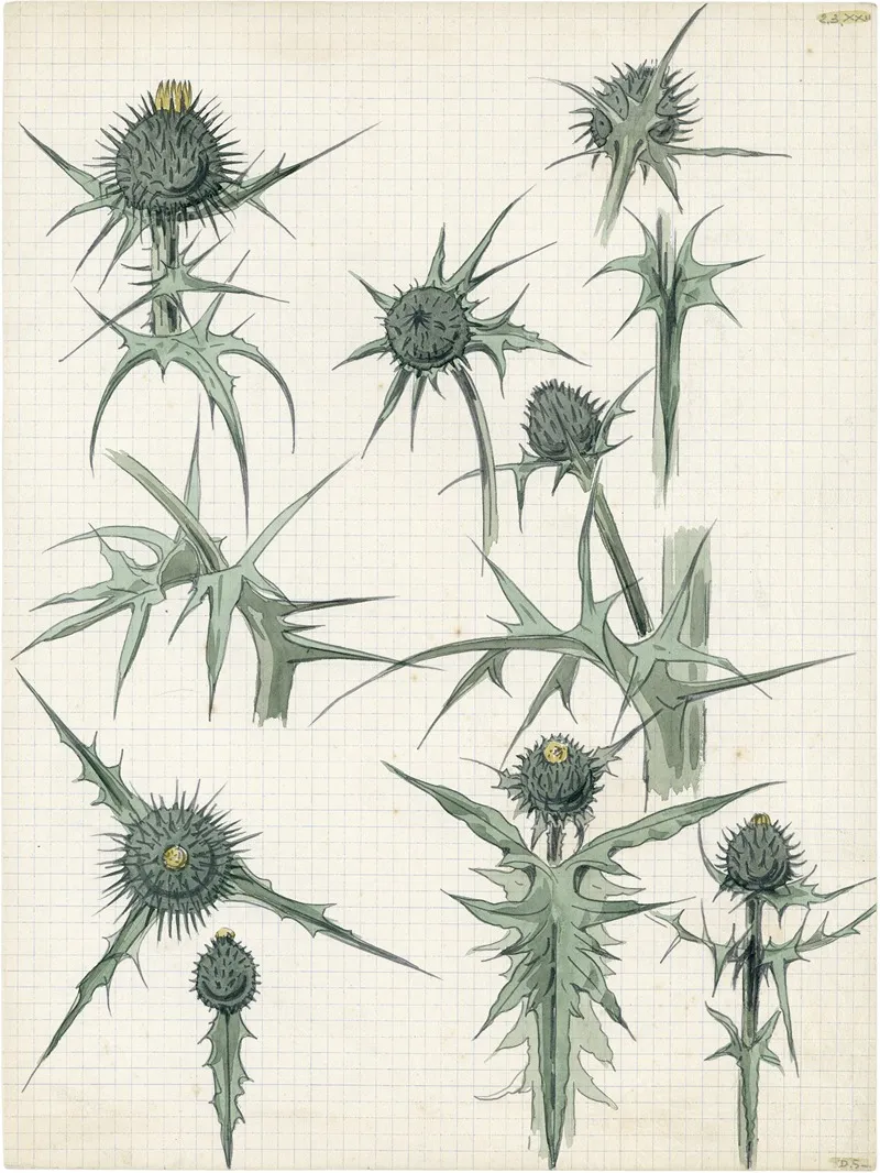 Distel 2de Soort 9 Wall Art by Alfred Ost - High-Resolution Digital Print