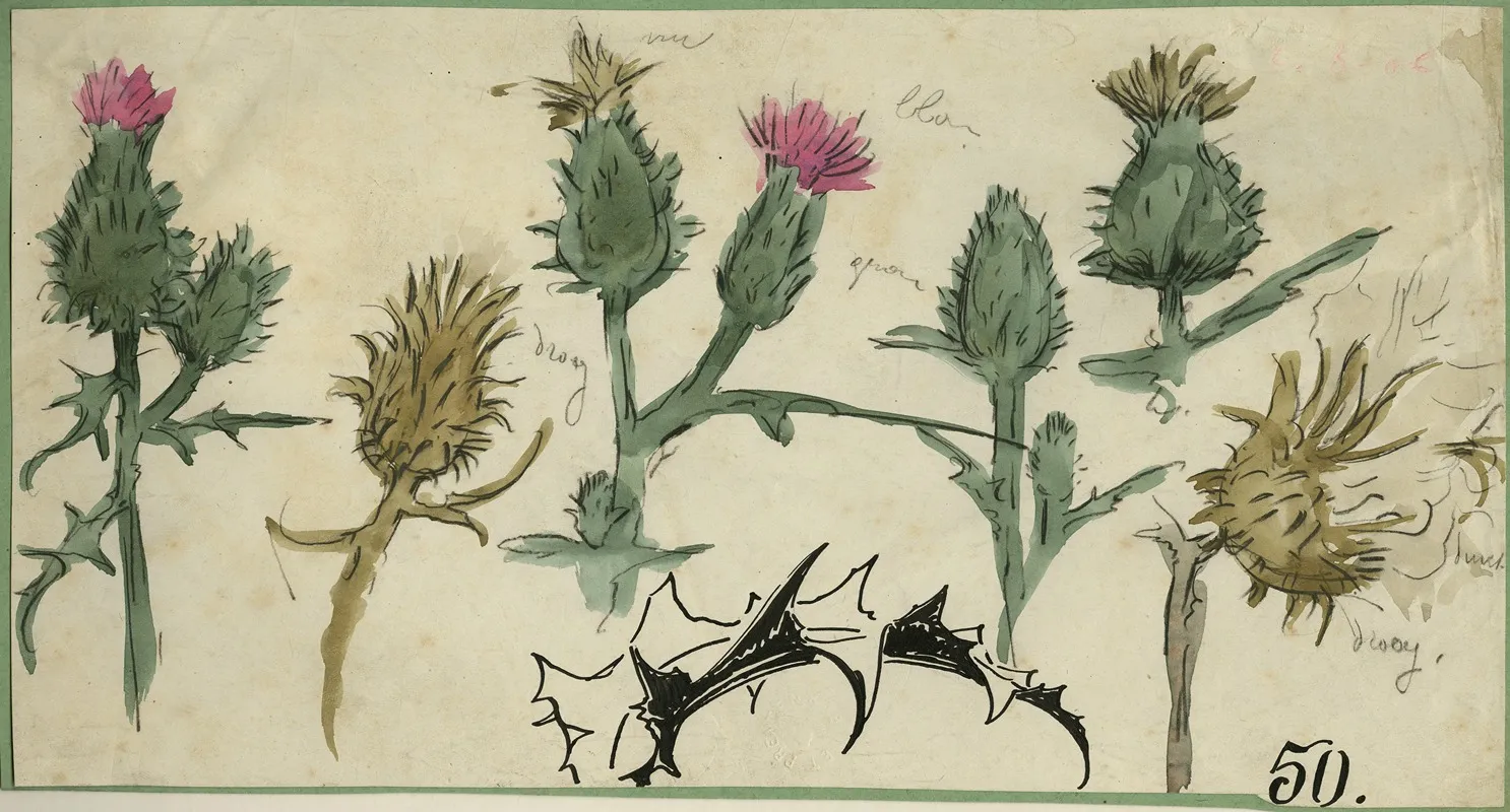 Distelbloemen Wall Art by Alfred Ost - High-Resolution Digital Print