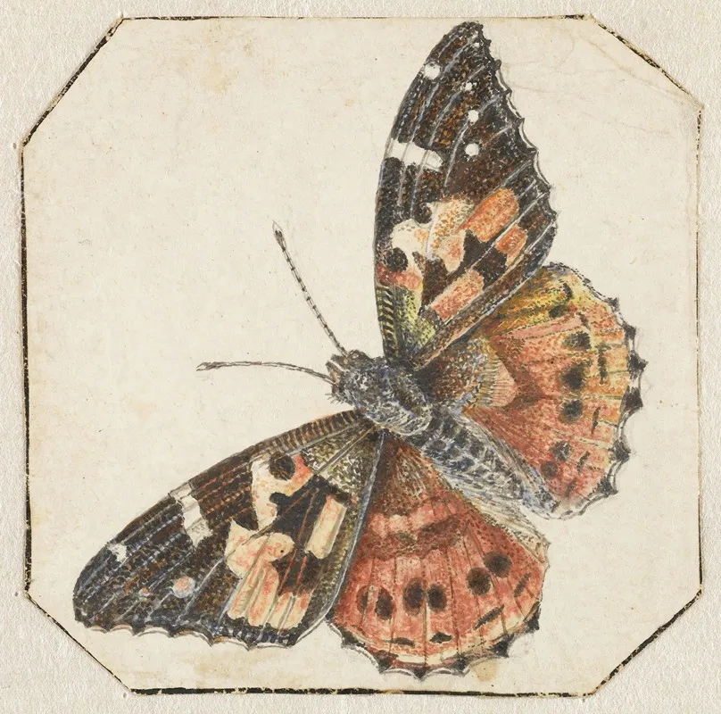 Distelvlinder Vanessa Cardui Wall Art by Pieter Barbiers - High-Resolution Digital Print