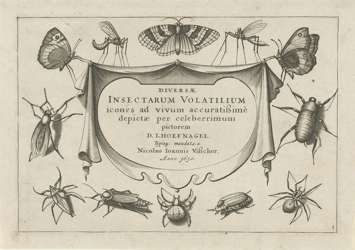 Diversae Insectarum Volatilium Pl 01 Wall Art by Jacob Hoefnagel - High-Resolution Digital Print