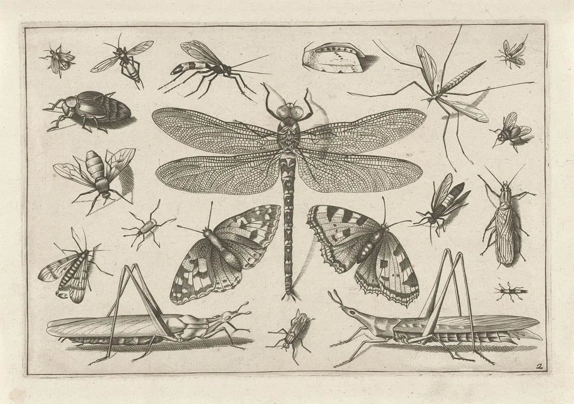 Diversae Insectarum Volatilium Pl 02 Wall Art by Jacob Hoefnagel - High-Resolution Digital Print