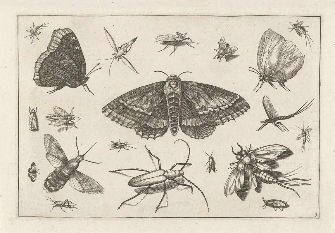 Diversae Insectarum Volatilium Pl 03 Wall Art by Jacob Hoefnagel - High-Resolution Digital Print