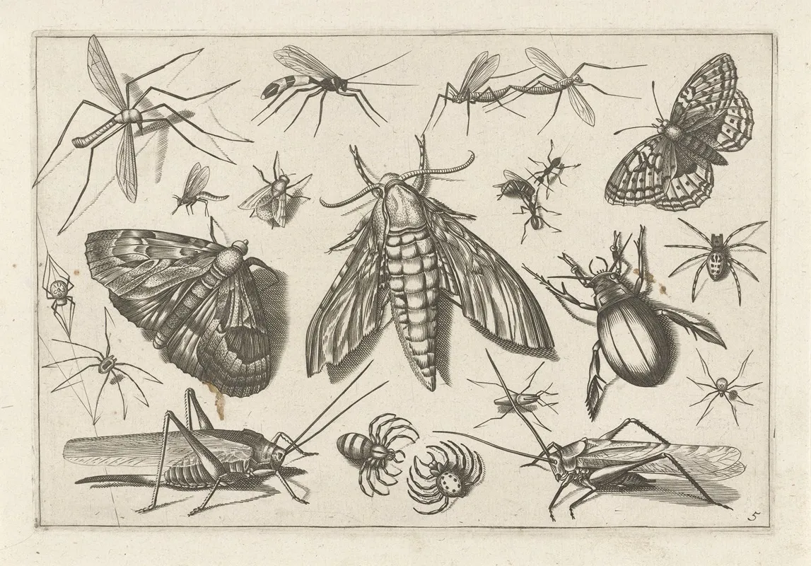 Diversae Insectarum Volatilium Pl 05 Wall Art by Jacob Hoefnagel - High-Resolution Digital Print